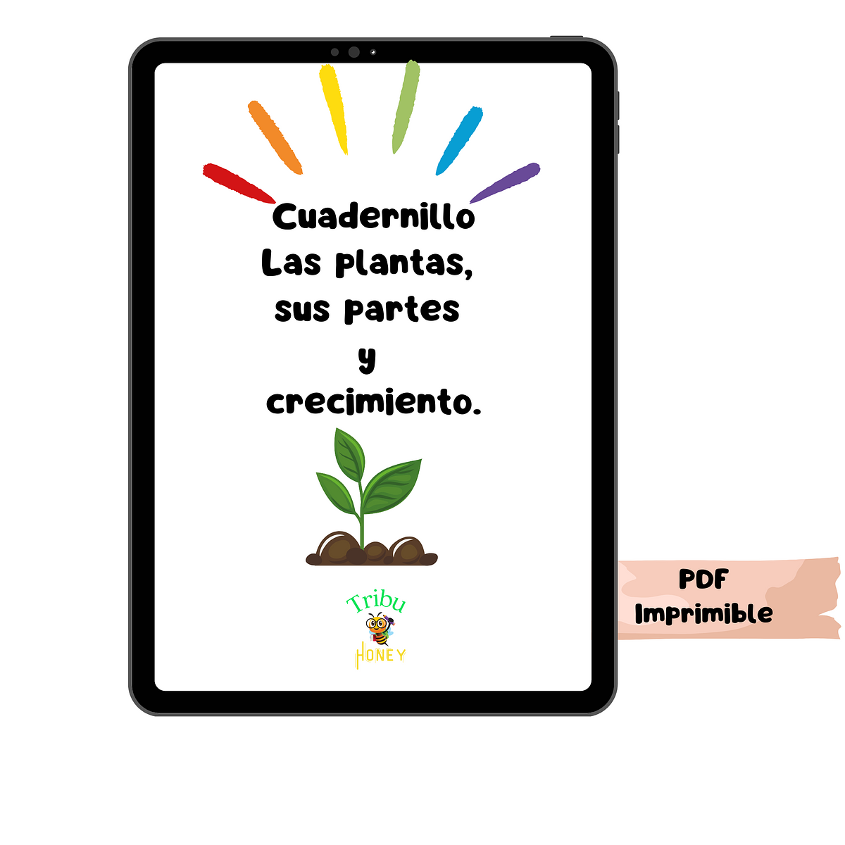 Las Plantas Sus Partes Y Crecimiento Salduu